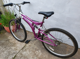 boss blackgold mountain bike